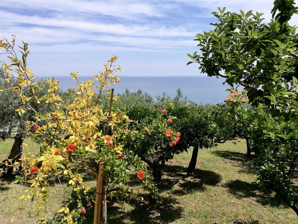 Villa Rosaria Vasto Exterior foto